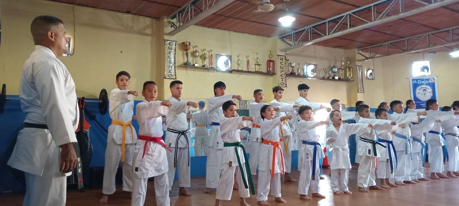 El Sensei José Rondón frente a su clase: una fila de niños y jóvenes con cinturones de colores en posición de guardia