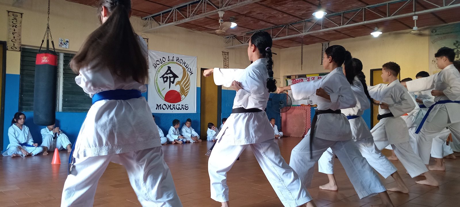 Una fila de alumnos de distintas edades y cinturones ejecuta la misma técnica de puño en posición de guardia, bajo el emblema del Dojo J.J. Rondón; los más pequeños miran sentados al fondo